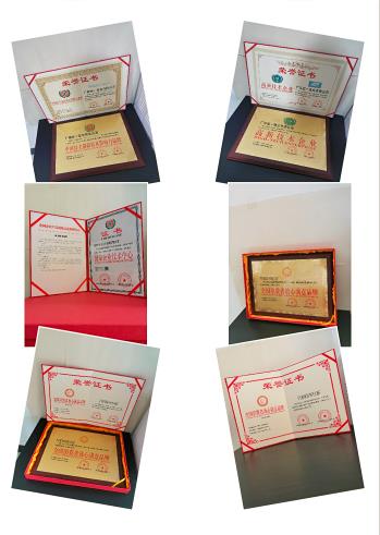 十年來(lái)的榮譽(yù)